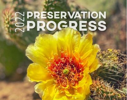 2022 Preservation Progress cover page