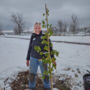 Michelle with Rocky Mtn Glow maple tree 2024-04-20